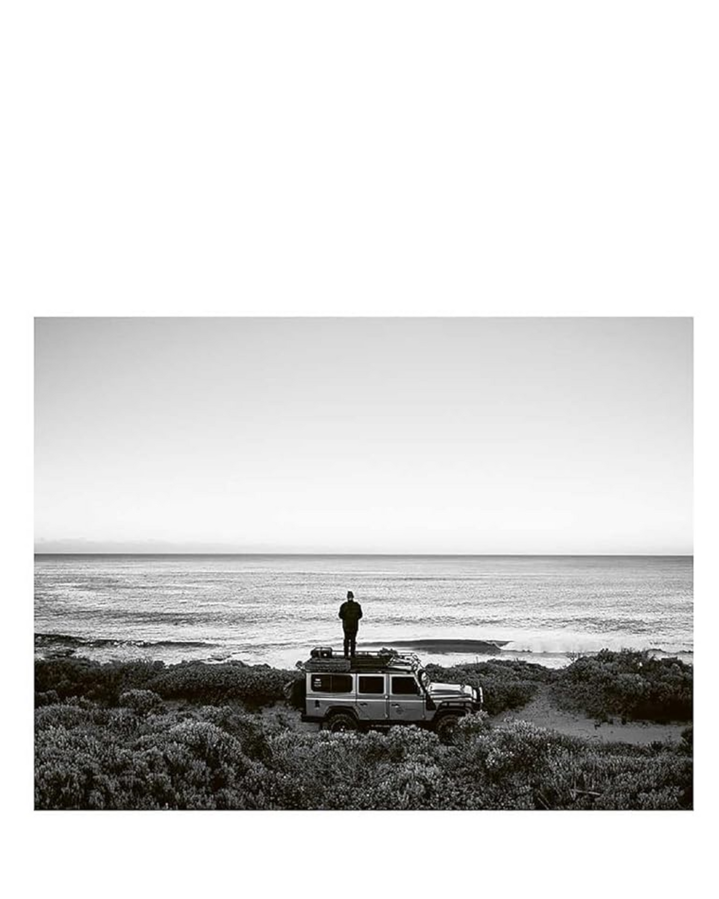LIFE AROUND THE SEA