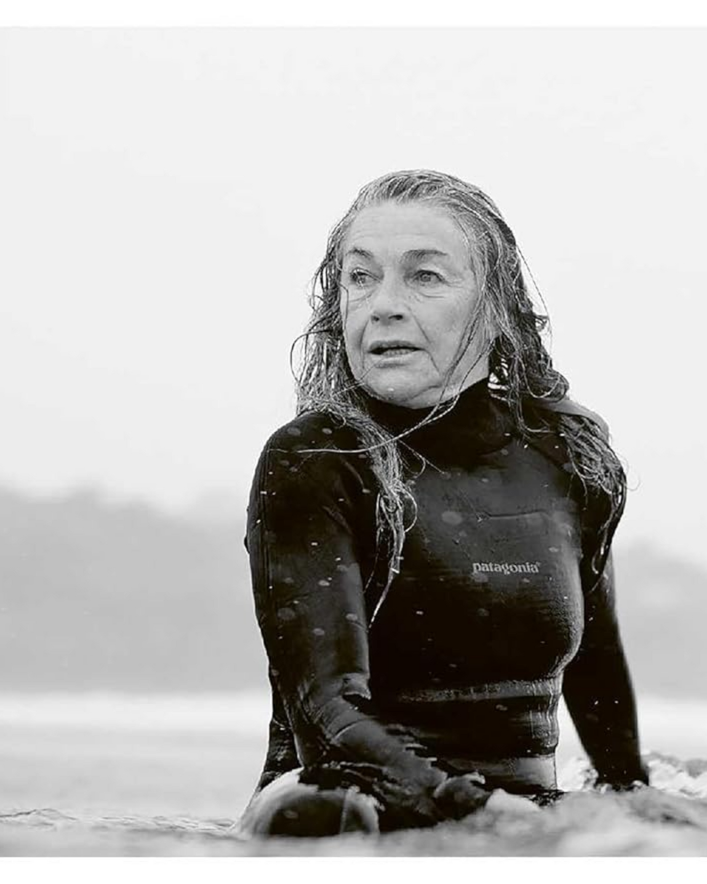 LIFE AROUND THE SEA