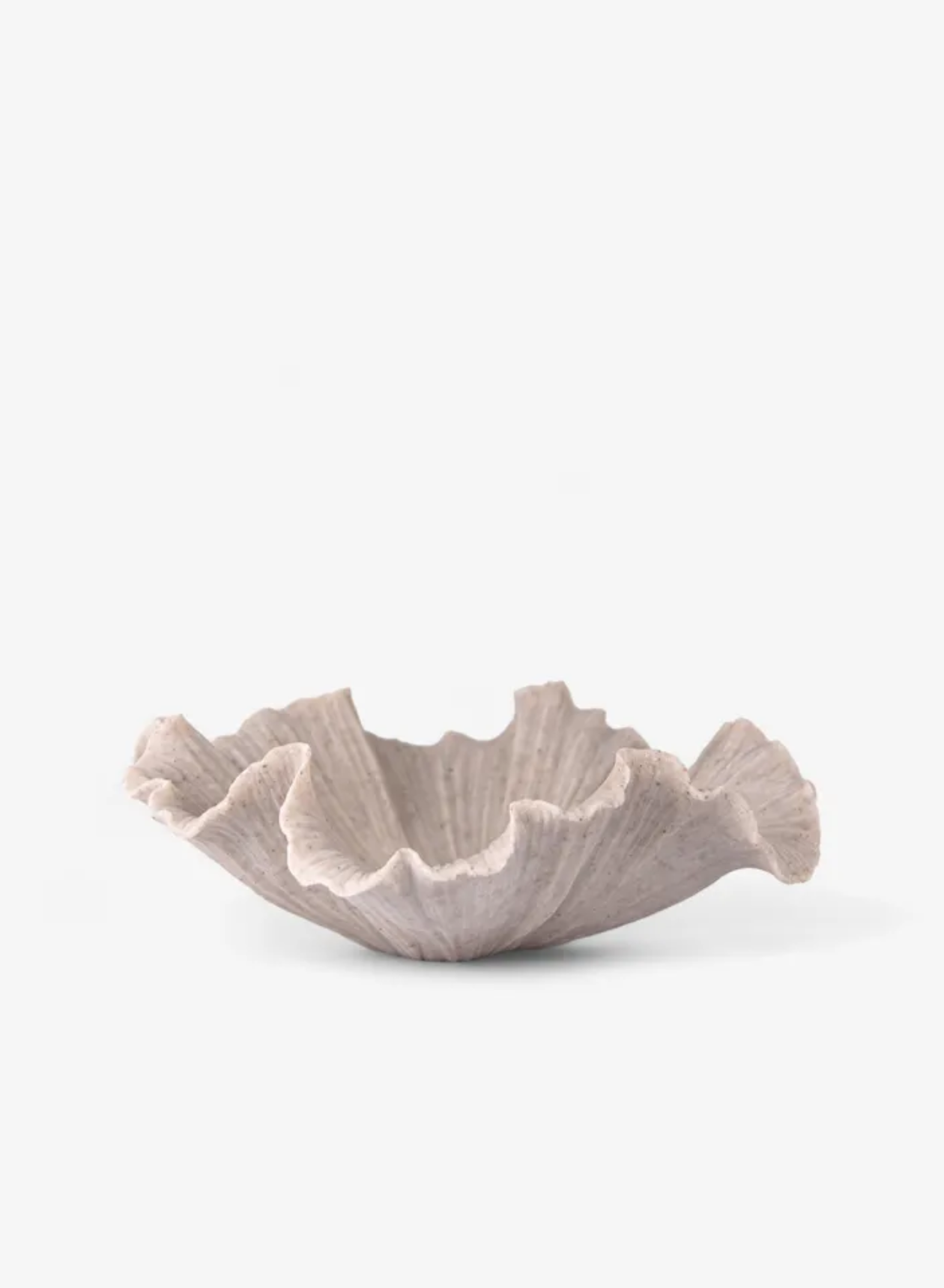 SHELL BOWL