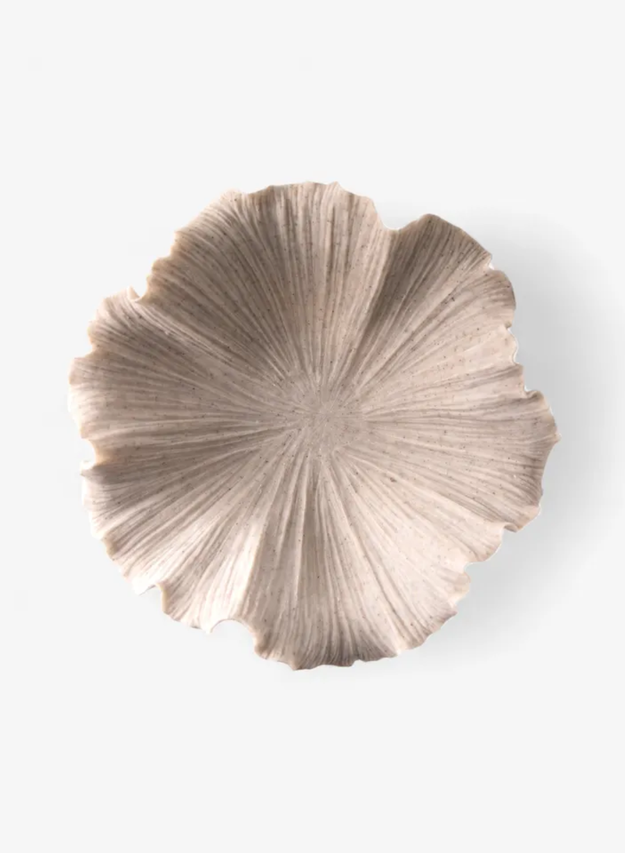 SHELL BOWL