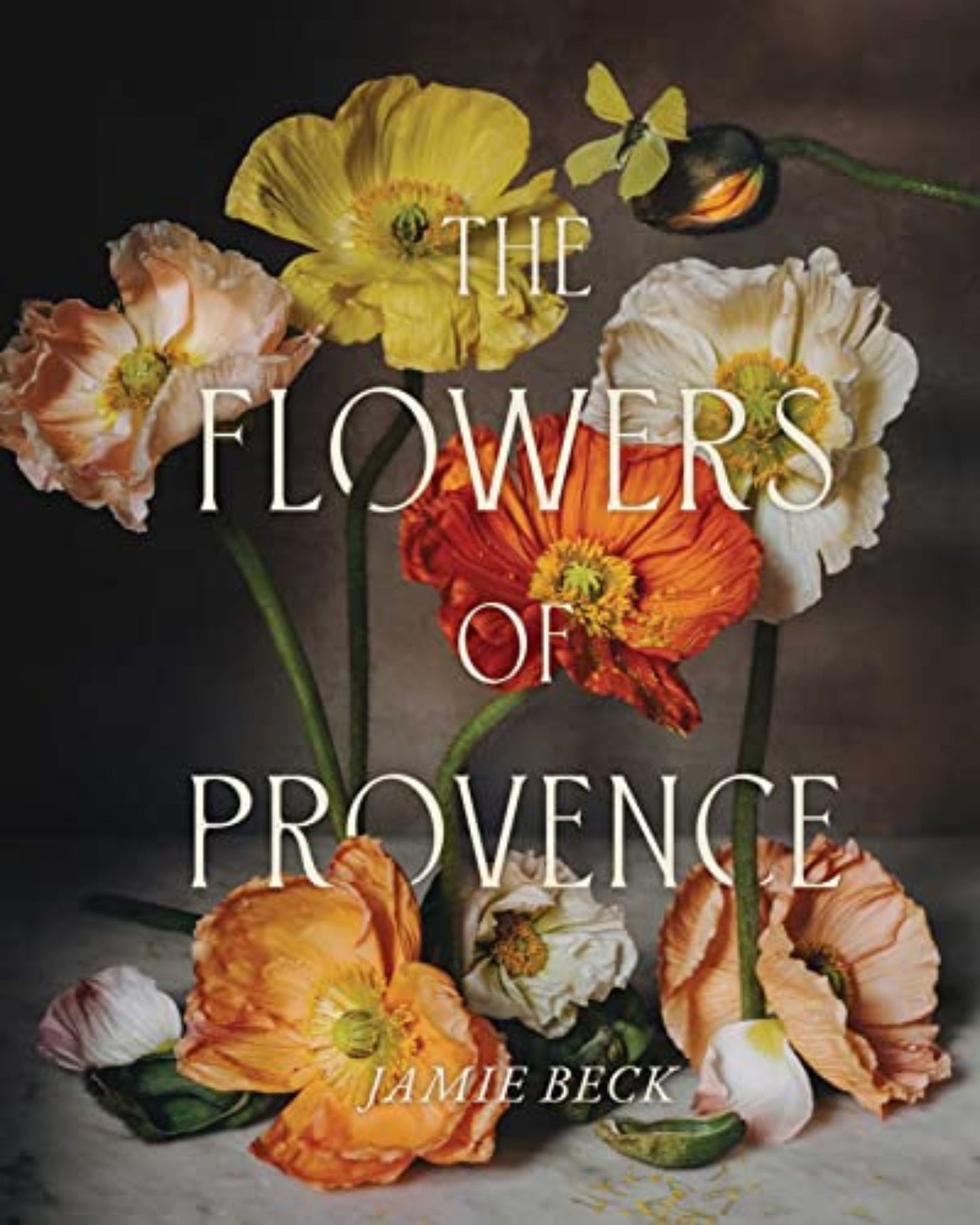 FLOWERS OF PROVENCE