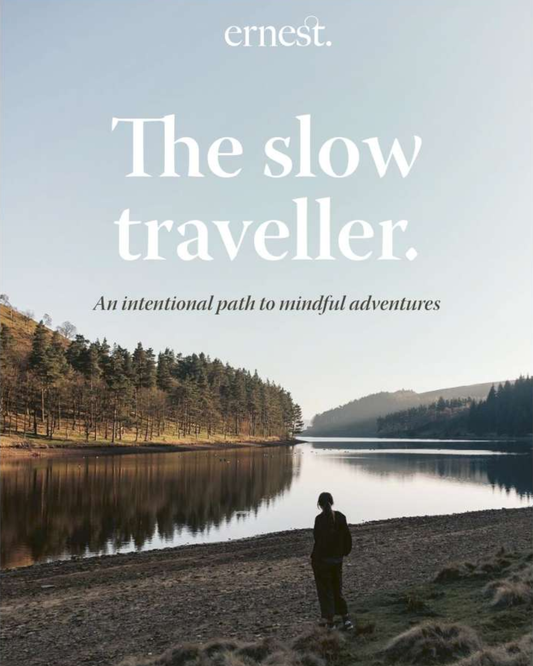 THE SLOW TRAVELLER BY JO TINSLEY