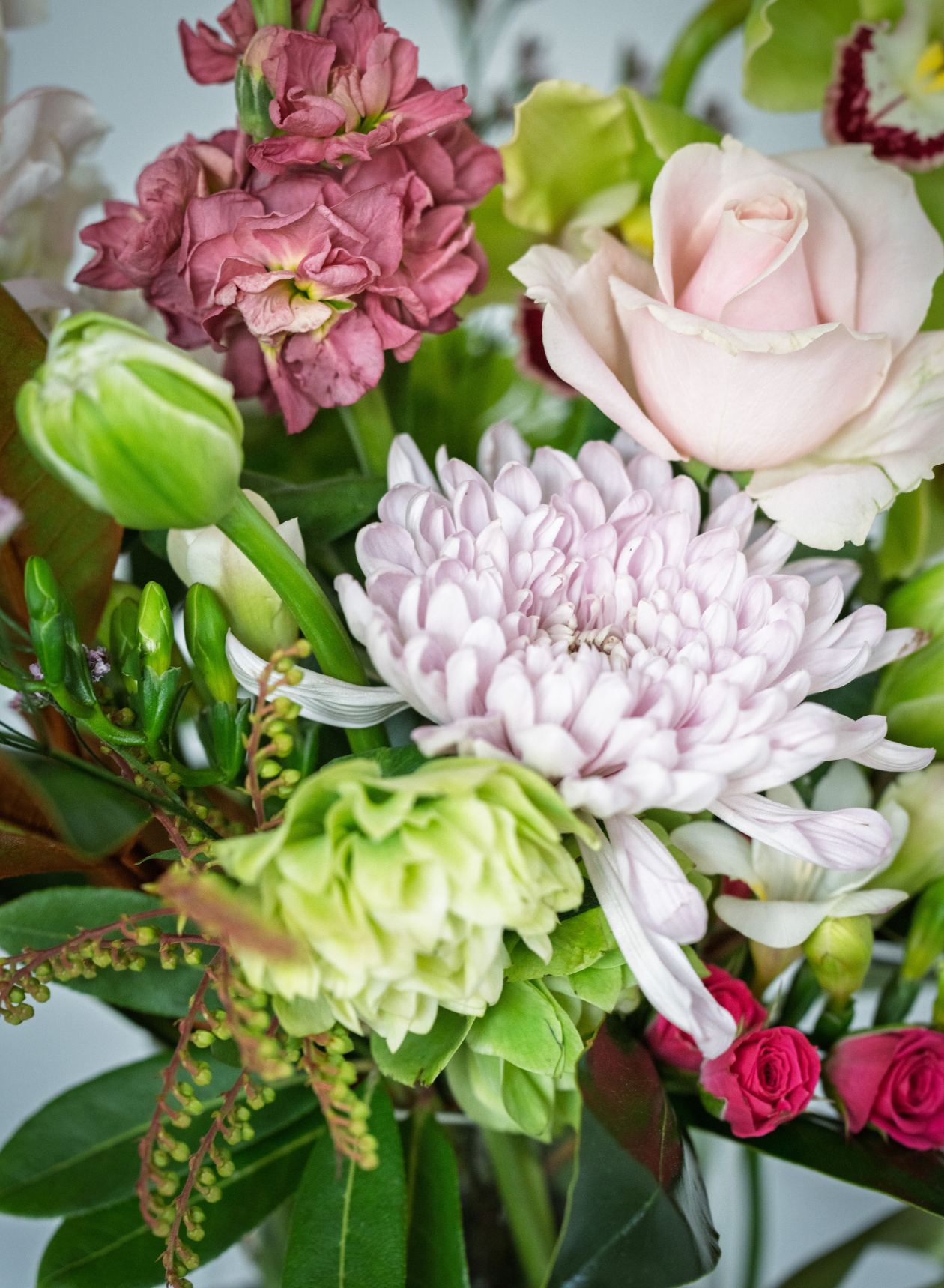 FRESH FLOWERS IN A VASE