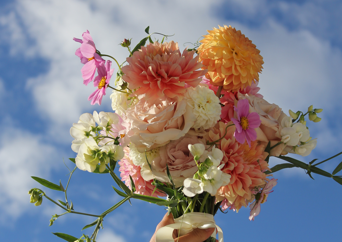 The Art of Sustainable Floristry in Central Otago
