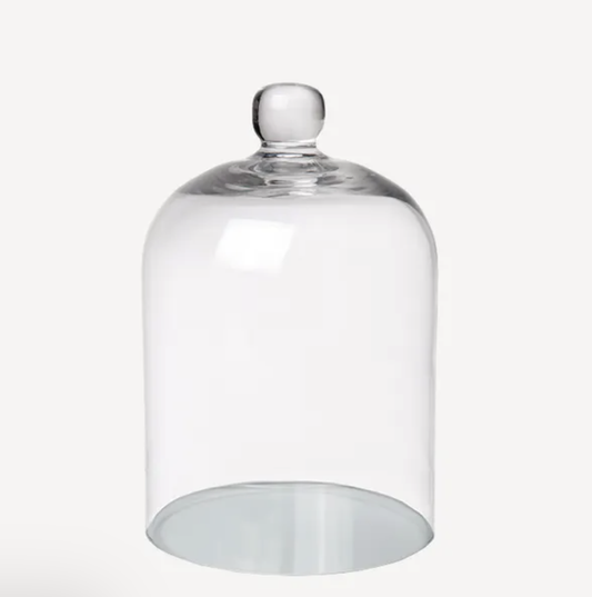 SMALL GLASS DOME