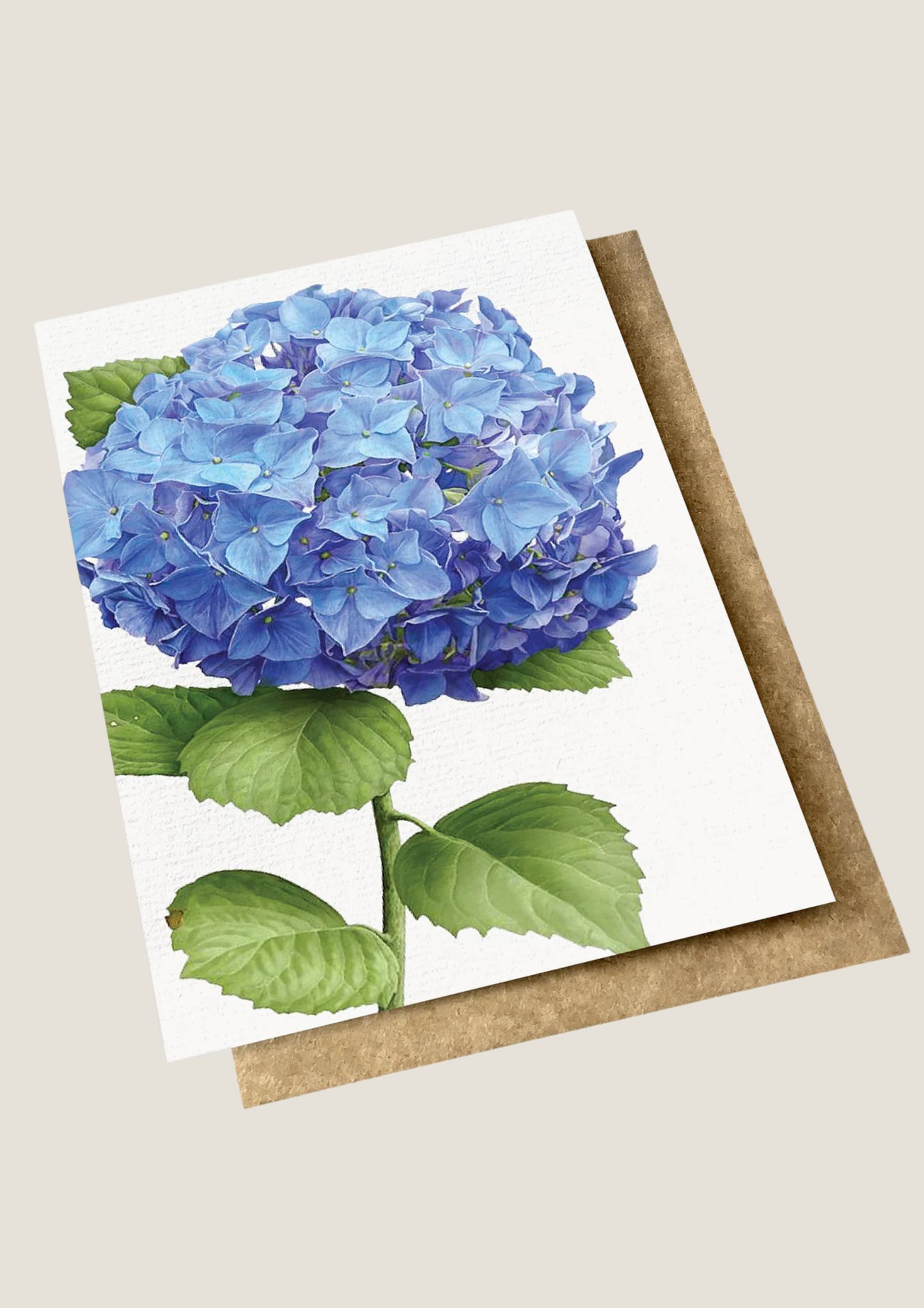 VINTAGE BOTANICAL - HYDRANGEA GREETING CARD