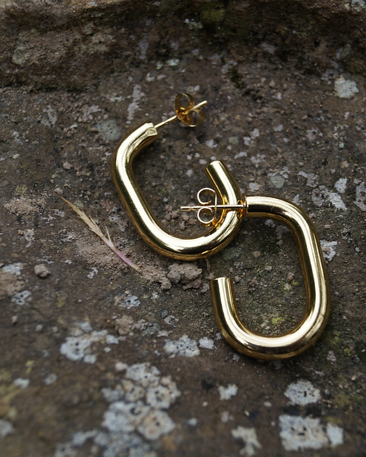ARLO HOOPS