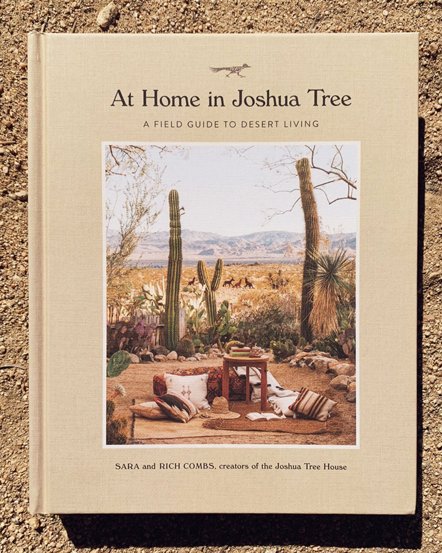 AT HOME IN JOSHUA TREE