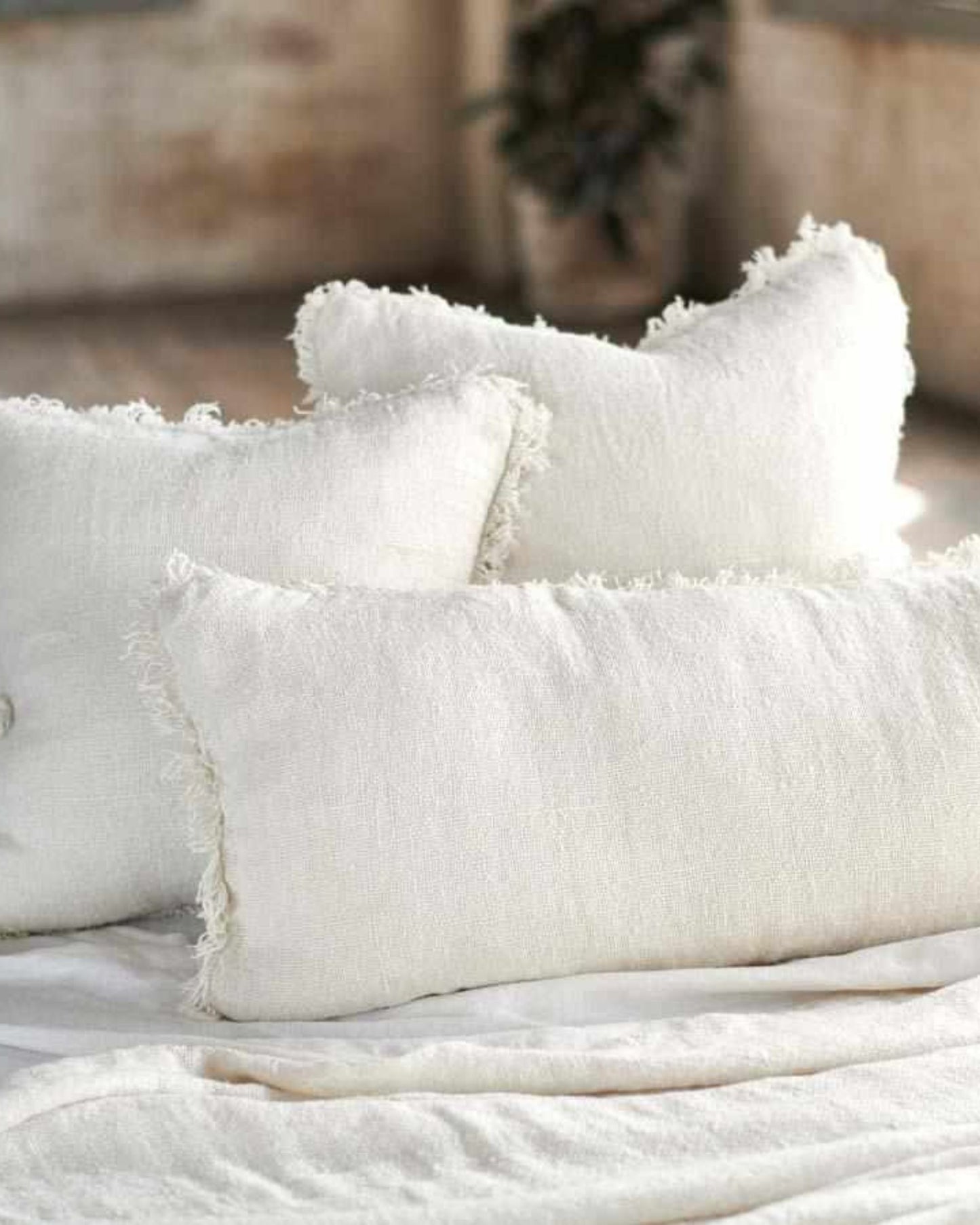 Three Eadie Bedouin Linen Long Lumber cushions, soft and fringed, are arranged on a matching white fabric surface in a cozy room. A blurred plant in the background adds a touch of greenery, enhancing the rustic chunky texture of this serene setting.