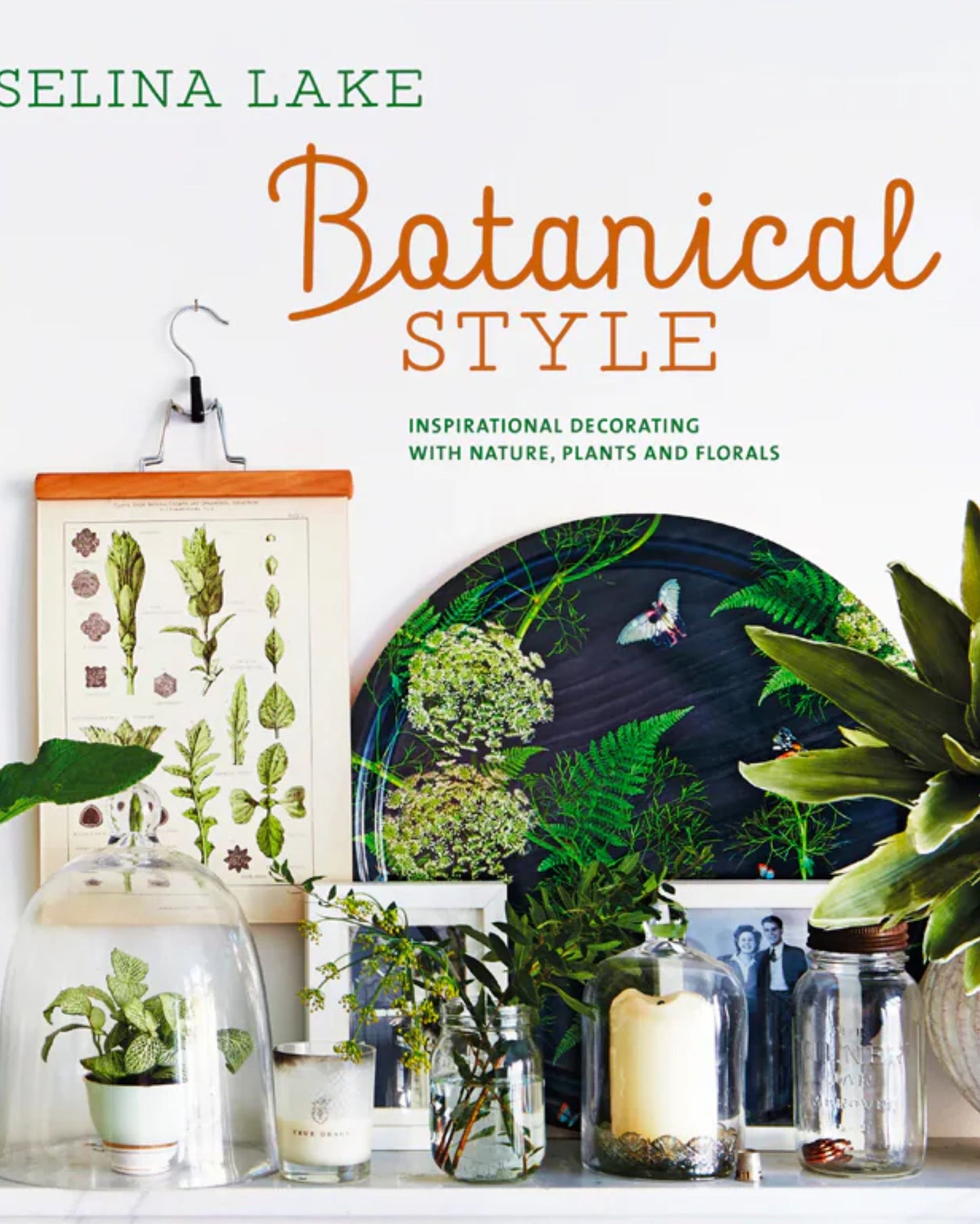 A decorative arrangement showcasing the BOTANICAL STYLE by Nation Wide Books highlights nature's charm. The display includes a large round plate with a floral design, glass cloches covering houseplants, framed photos, and a botanical illustration, all neatly arranged.