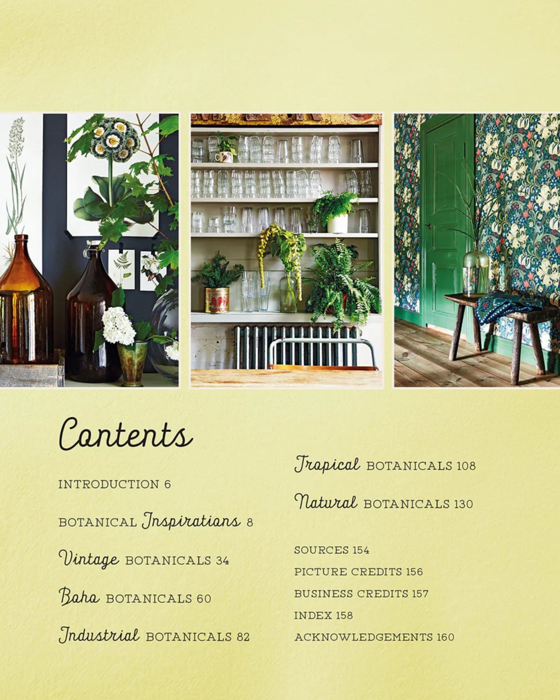 A yellow page features three images: vases with flowers, a shelf decorated with houseplants and glass jars, and a room displaying floral wallpaper. Beneath, the table of contents outlines sections on nature-inspired themes, page numbers, and credits in signature Botanical Style by Nation Wide Books.