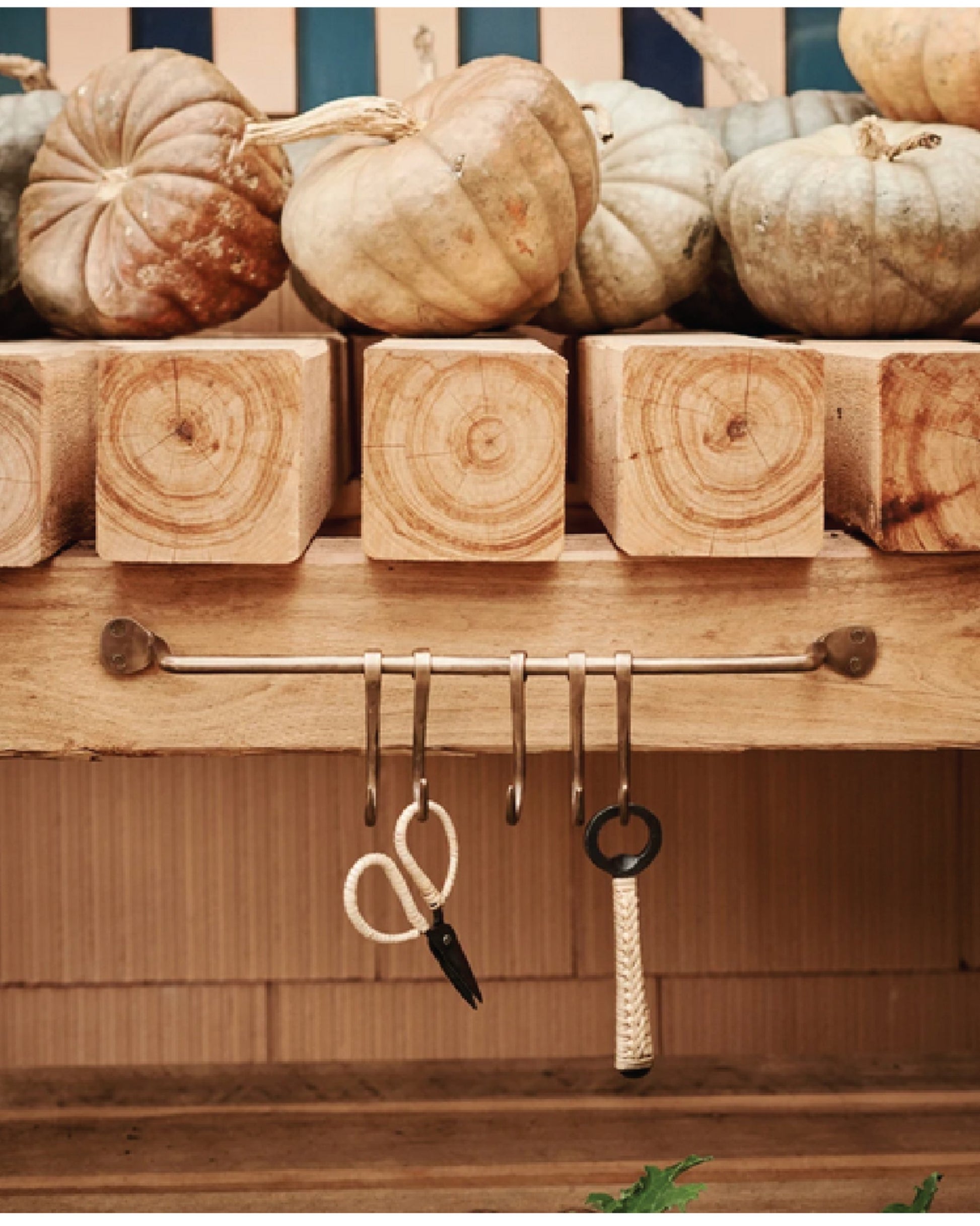 The CHANDLER RACK by Society Ink, featuring fixed hooks, is paired with wooden shelves adorned with assorted pumpkins to craft a delightful kitchen display. Below the shelves, the rack efficiently organizes various items like scissors and other tools. The backdrop showcases vertical wood paneling that adds to the rustic charm.