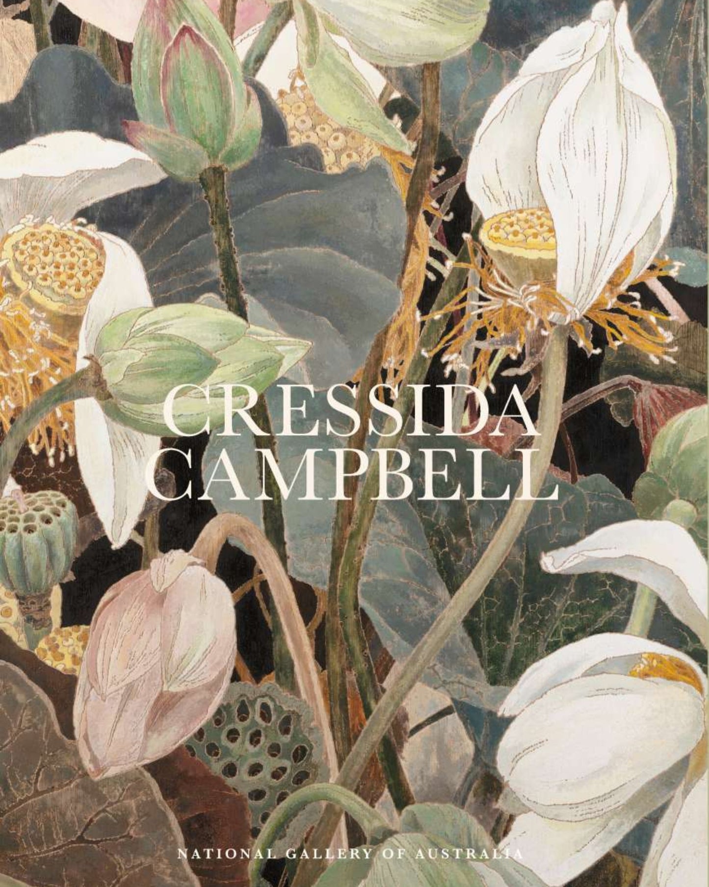 CRESSIDA CAMPBELL