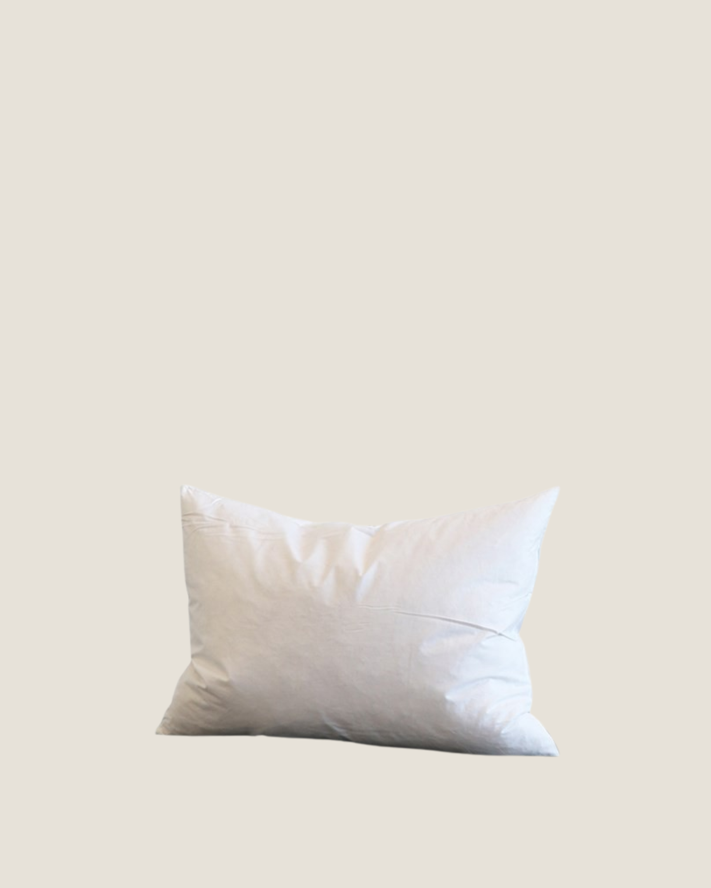 FEATHER CUSHION INNER - 35X50