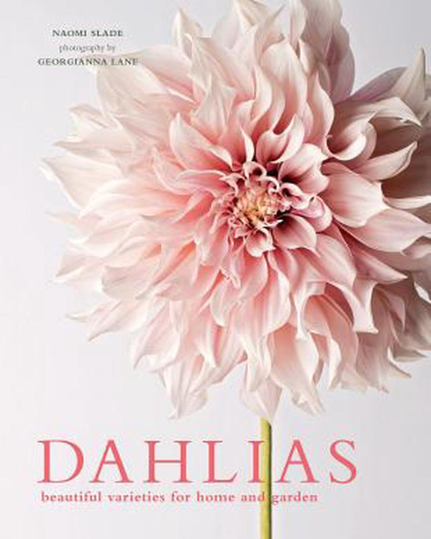 A book cover from Bookreps showcasing DAHLIAS BEAUTIFUL VARIETIES FOR HOME AND GARDEN. With a close-up photo of a pink dahlia ideal for cutting, the image by Georgianna Lane appears against a light gray background. The book is authored by Naomi Slade.