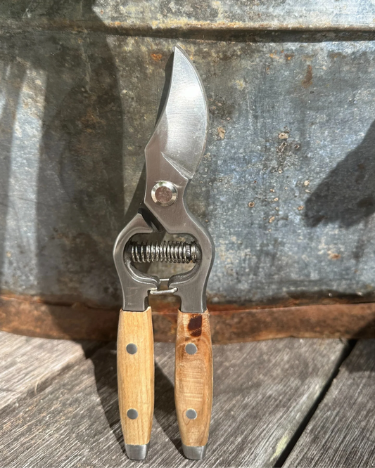 SECATEURS WITH ASH HANDLE