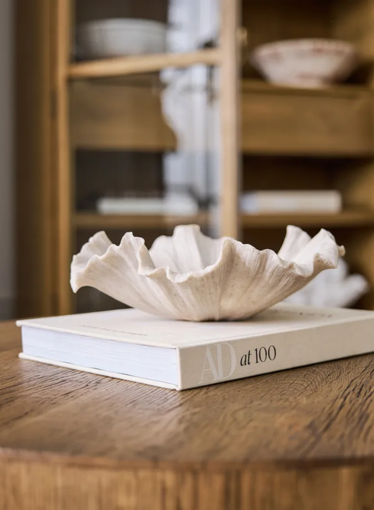 SHELL BOWL