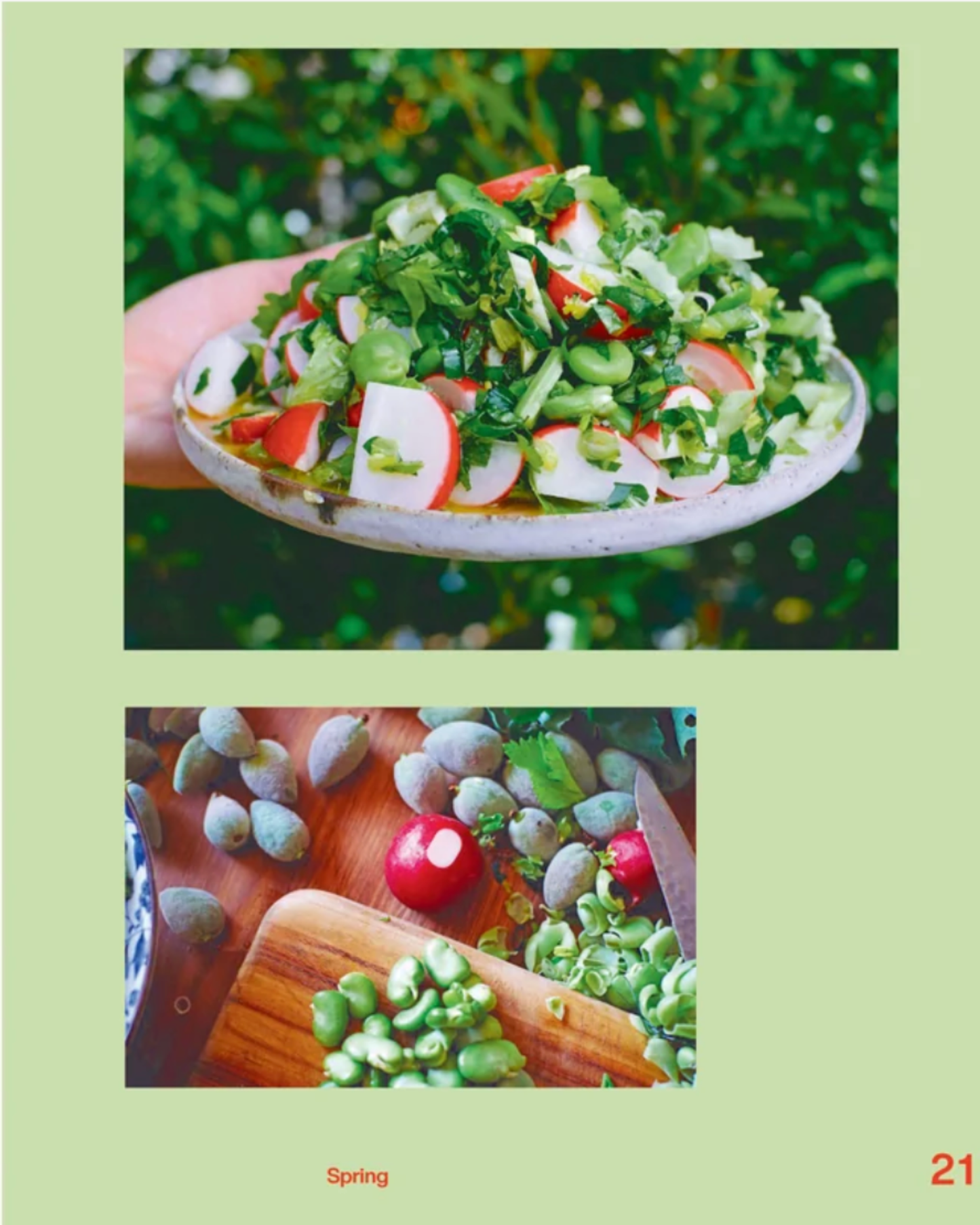 VERY GOOD SALADS